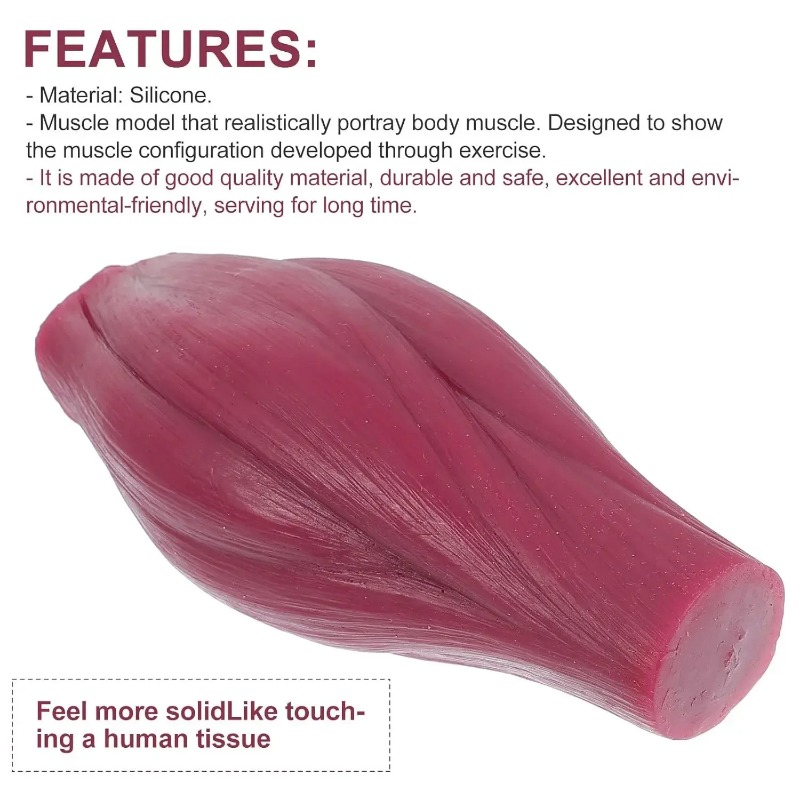 1-pound Human Muscle and Fat R - đánh giá và giá Nutrition Of Fitness