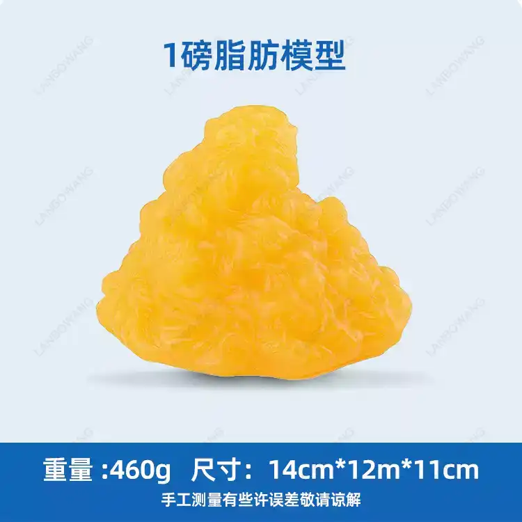 Human Muscle and Fat Replicas, - đánh giá và giá Nutrition Of Fitness