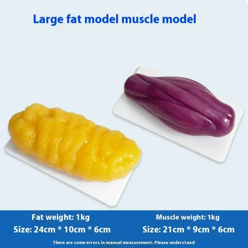 Human Muscle and Fat Replicas  - đánh giá và giá Nutrition Of Fitness