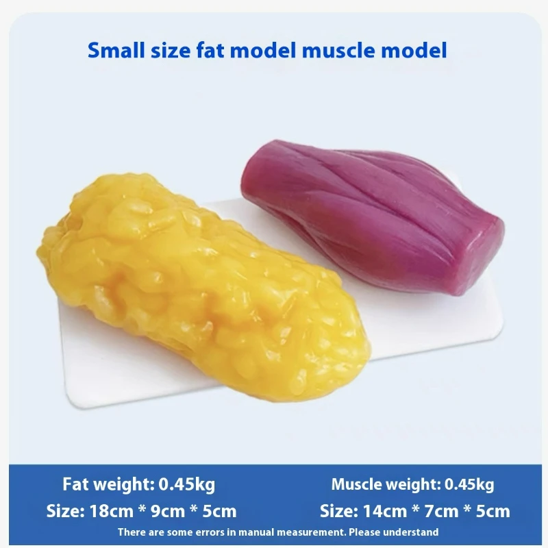 Human Muscle and Fat Replicas  - đánh giá và giá Nutrition Of Fitness